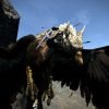 Dragon's Dogma: Dark Arisen