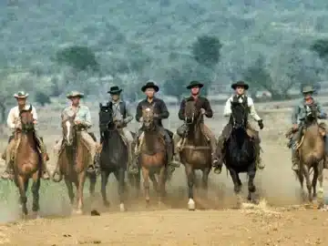 Die glorreichen Sieben