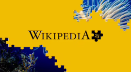 25 Jahre Wikipedia: Das größte Wissensprojekt der Menschheit feiert Jubiläum 25 Jahre Wikipedia