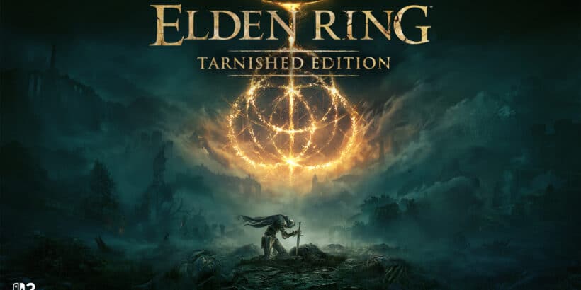 Elden Ring Tarnished Edition