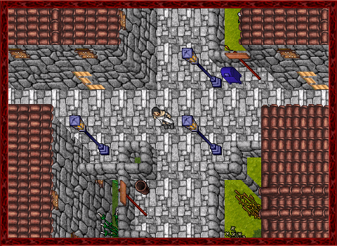 Tibia